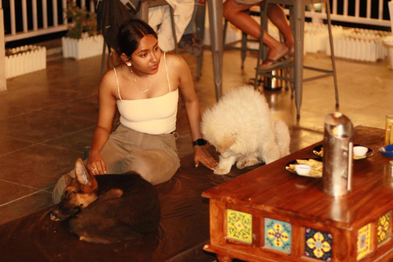 Backpacker Duniya Hostel Rishikesh Ngoại thất bức ảnh